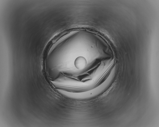 X0000111461165200908031334