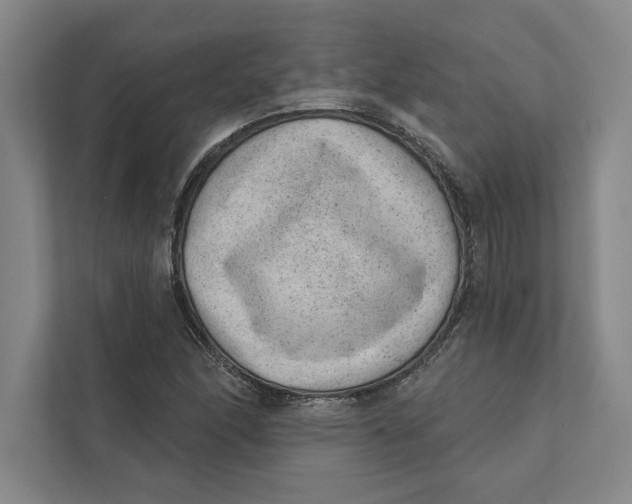 X0000111461166200908031334