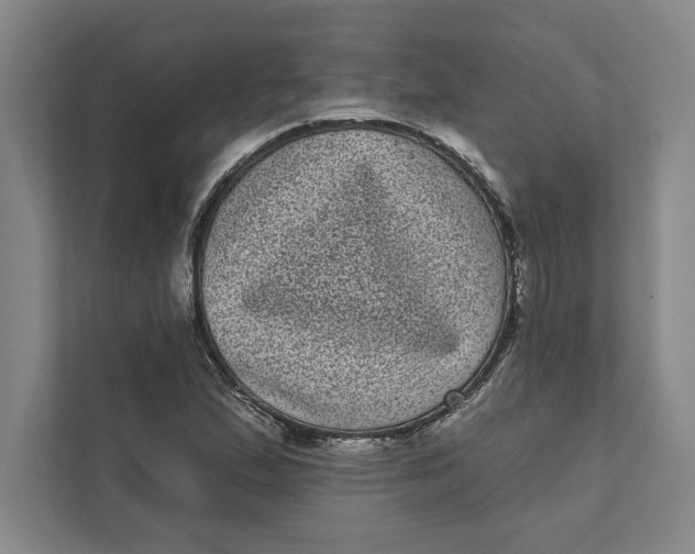 X0000111461167200908031334