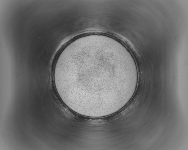 X0000111461168200908031334