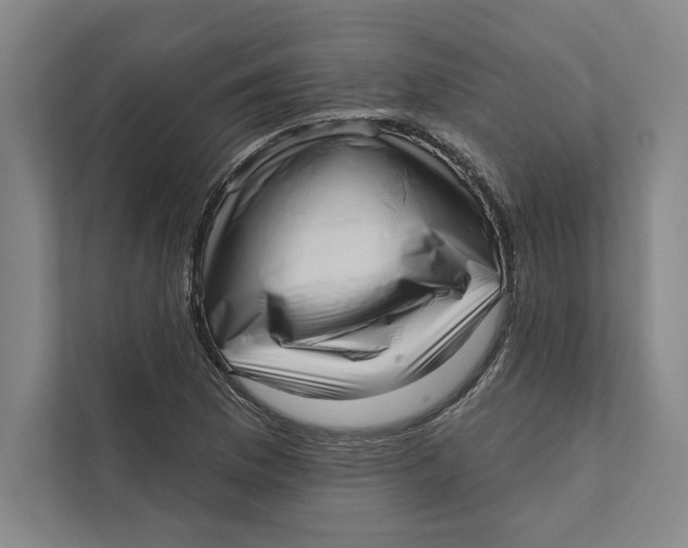 X0000111461169200908031333