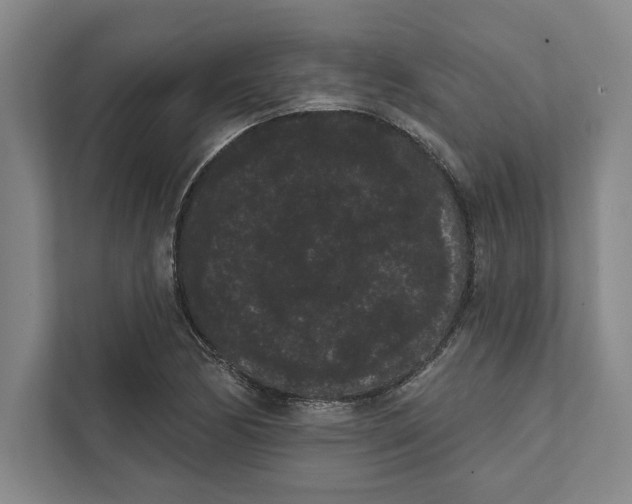 X0000111461170200908031333