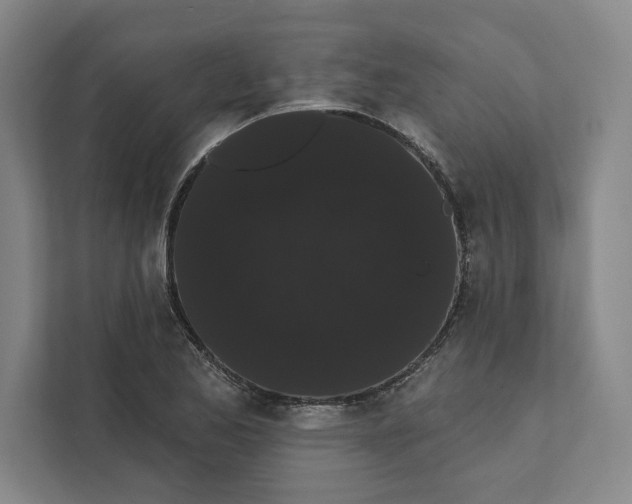 X0000111461173200908031333