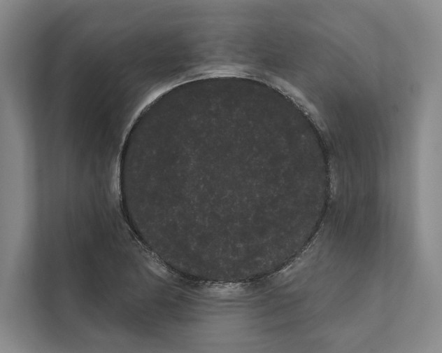 X0000111461174200908031333