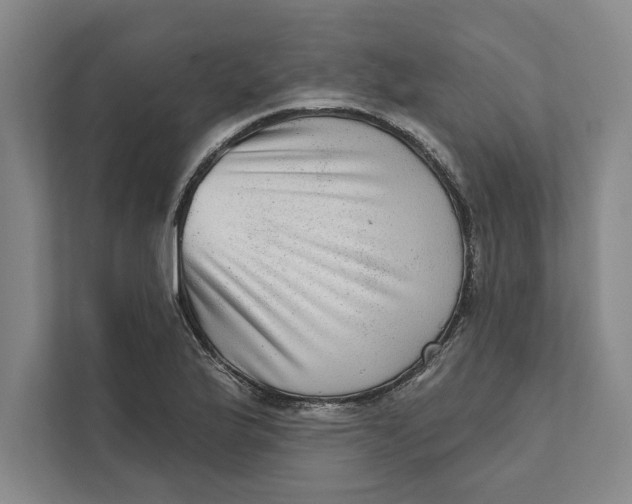 X0000111461175200908031333
