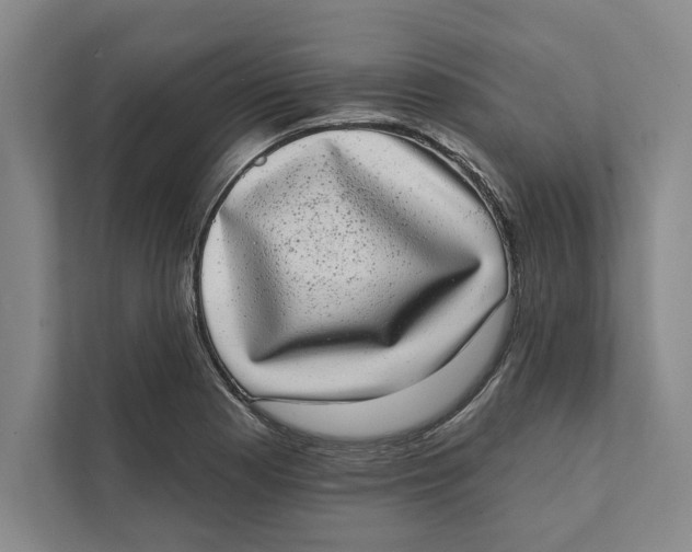 X0000111461177200908031333