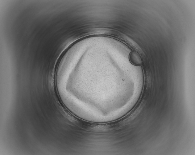 X0000111461178200908031333