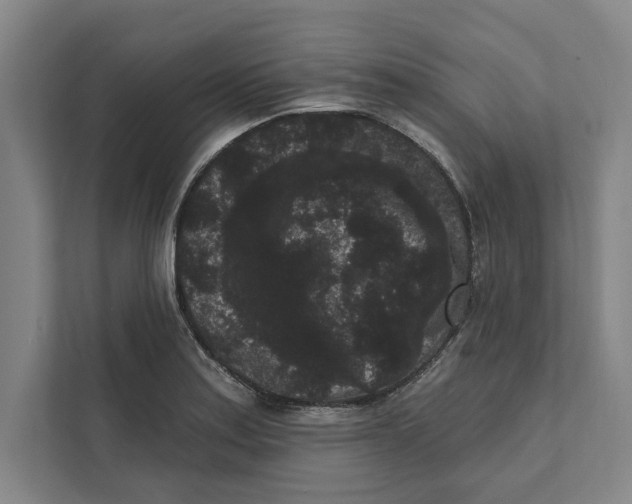 X0000111461179200908031333