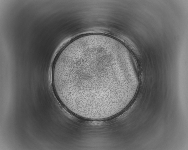 X0000111461180200908031333