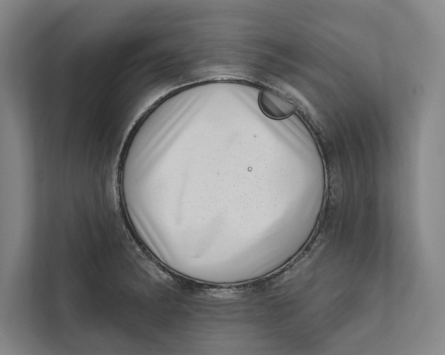 X0000111461182200908031333