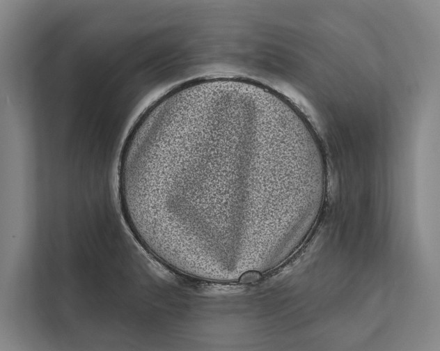 X0000111461183200908031333