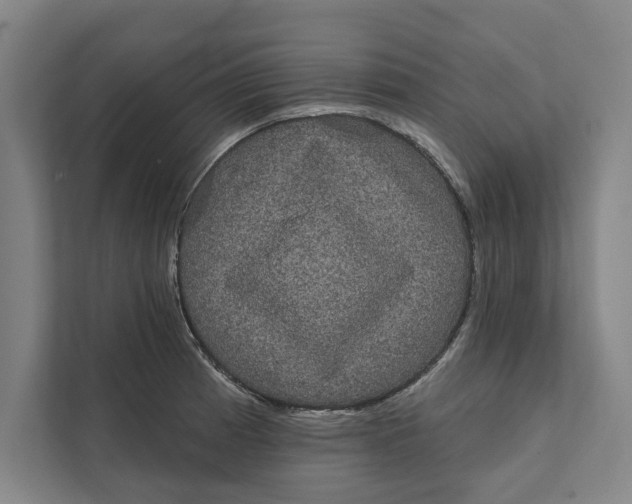 X0000111461185200908031333