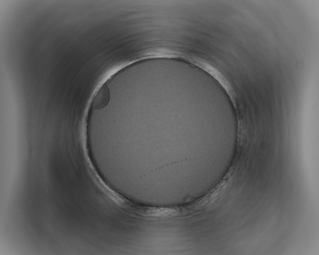 X0000111461187200908031333