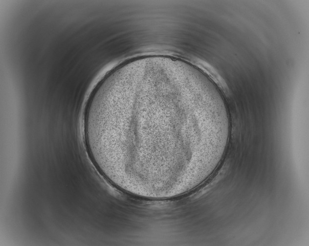 X0000111461188200908031333