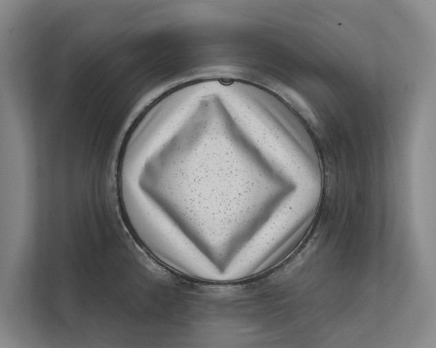 X0000111461192200908031333