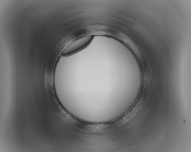 X0000111461193200908031333