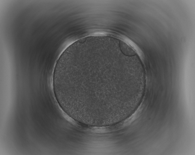 X0000111461194200908031333