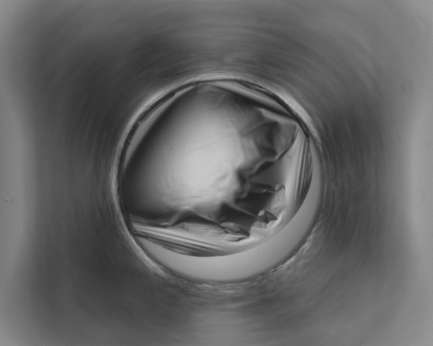 X0000111461197200908031333