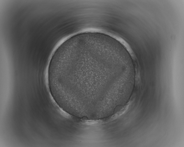X0000111461199200908031333