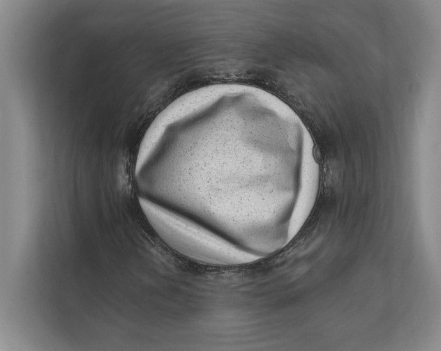X0000111461202200908031332