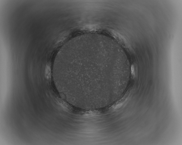 X0000111461203200908031332