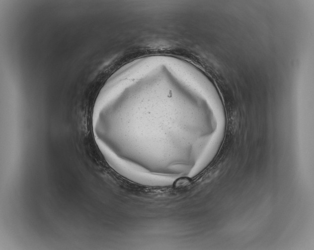 X0000111461205200908031333