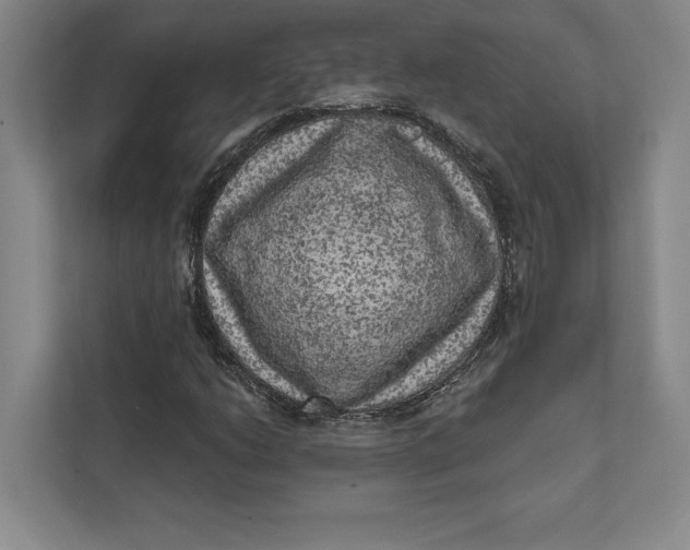 X0000111461206200908031333