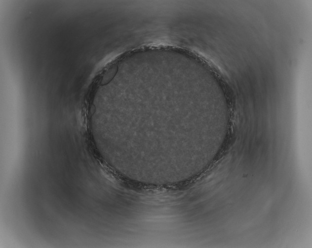 X0000111461207200908031333