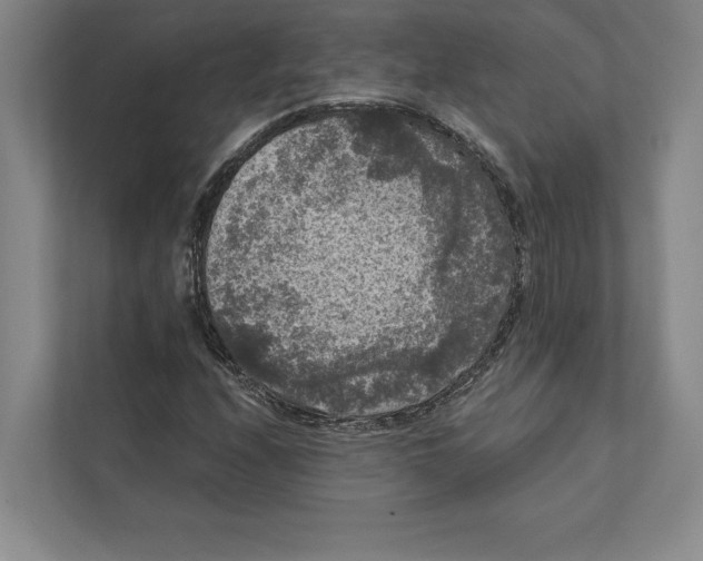 X0000111461208200908031333
