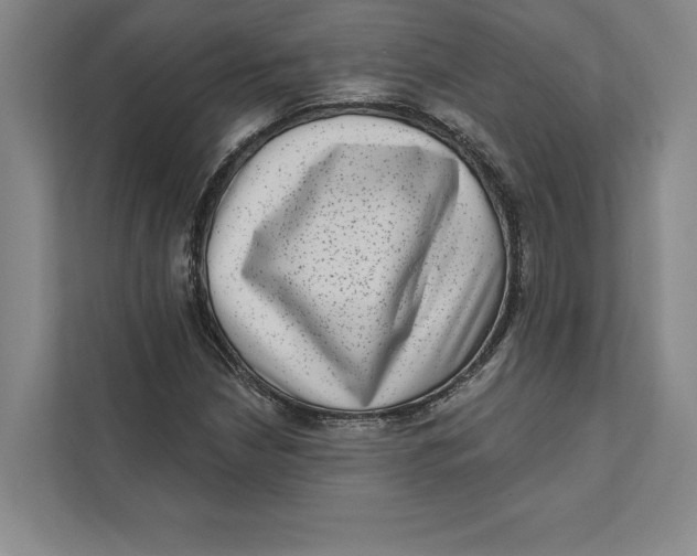 X0000111461210200908031333