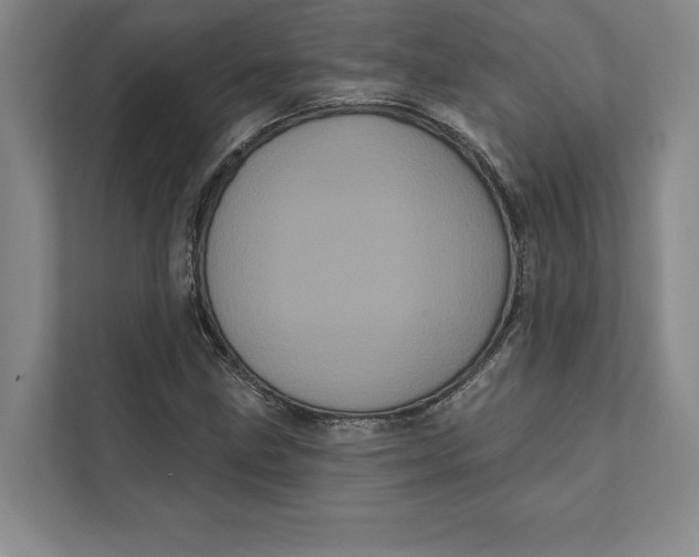 X0000111461211200908031333