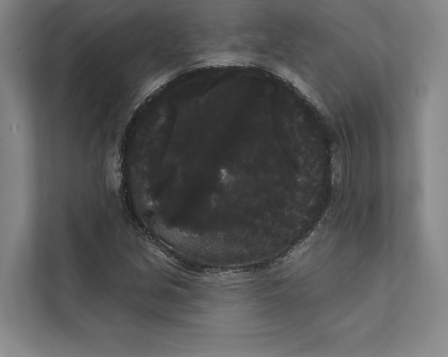 X0000111461213200908031333