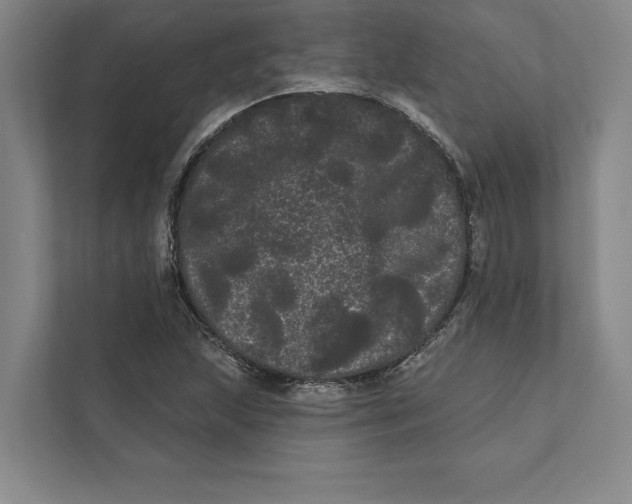 X0000111461215200908031333