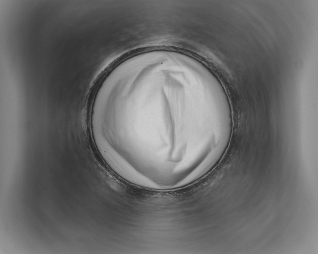 X0000111461216200908031333