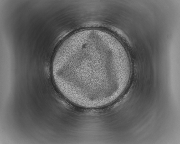 X0000111461217200908031333