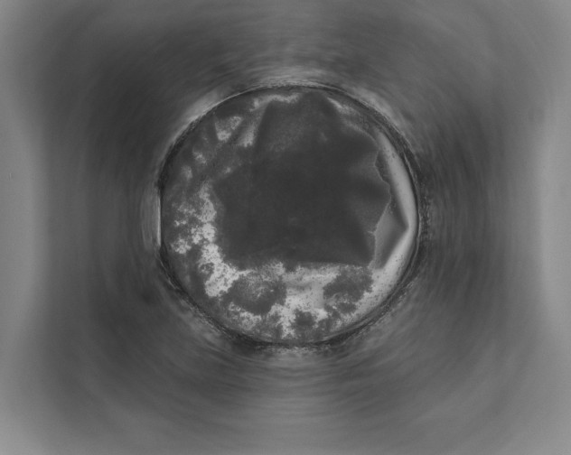 X0000111461219200908031333