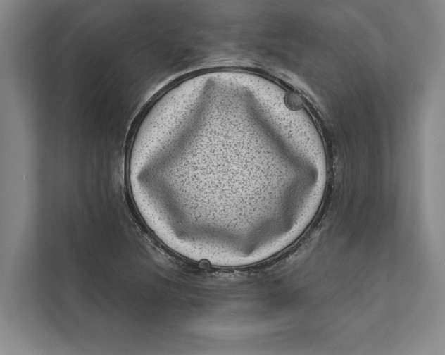 X0000111461220200908031333