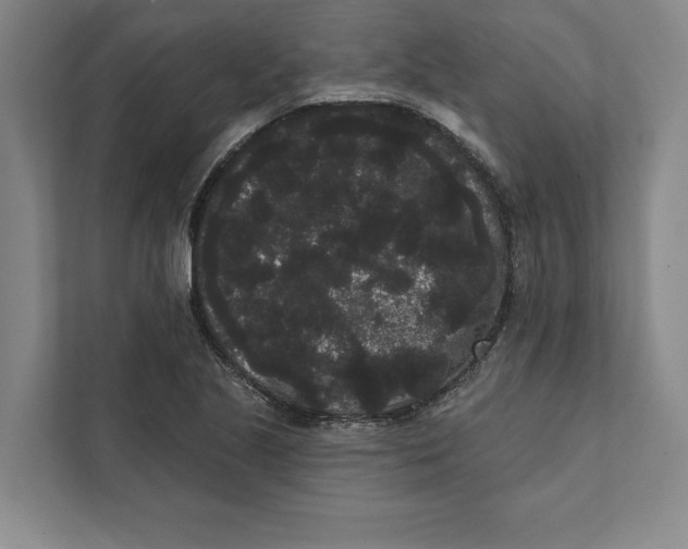 X0000111461221200908031333