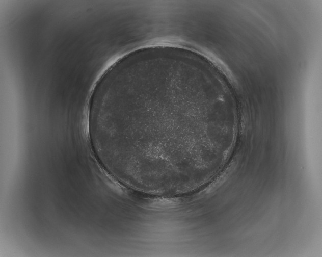 X0000111461224200908031333