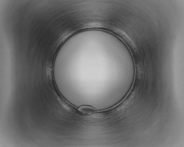 X0000111461225200908031333