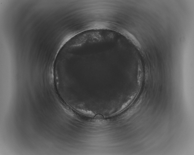 X0000111461226200908031333