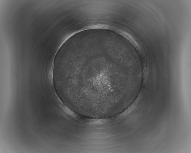 X0000111461228200908031333