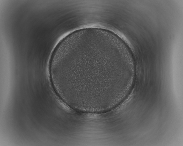 X0000111461230200908031333