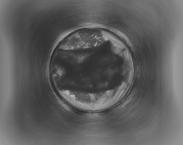 X0000111461231200908031333