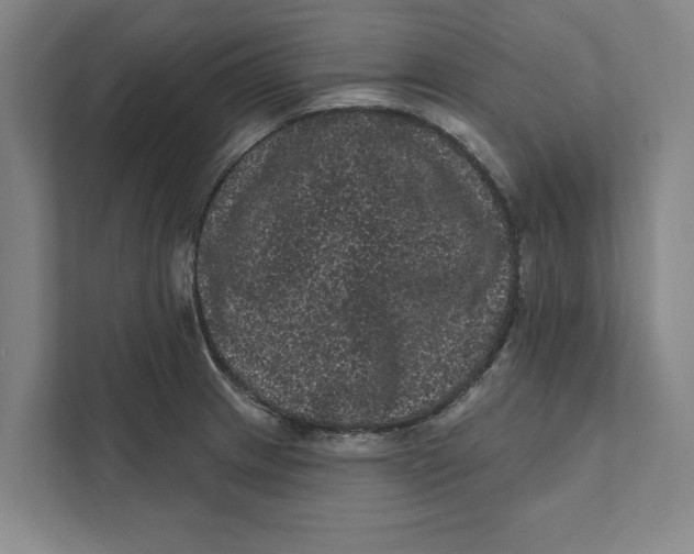 X0000111461233200908031333