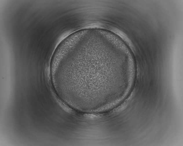 X0000111461234200908031333
