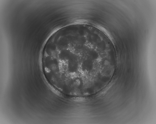 X0000111461235200908031333
