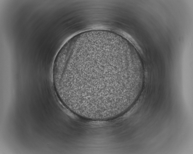 X0000111461236200908031333