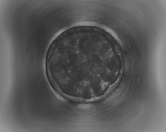 X0000111461237200908031333