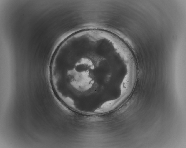 X0000111461239200908031333